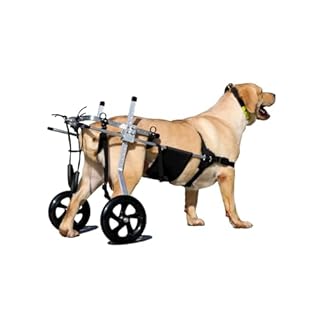 Yinian 2 Ruote Sedia a Rotelle per Cane Carrello per Disabili Scooter per Animali Domestici Carrello per Cani Disabili con Ruote per Riabilitazione di Gambe di Animali Disabili(Size:XL（20-30kg）)