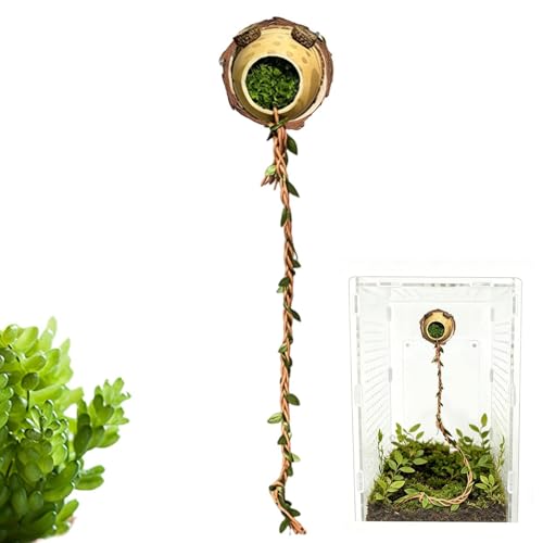 Decoración de Hábitat Arácnido para el Descanso de Arañas Saltarinas 8