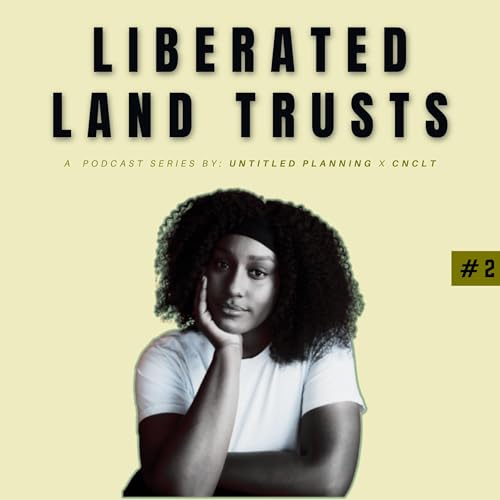 Anchoring Black Business for Economic Empowerment: The Journey of Little Jamaica CLT, Toronto | Anyika Mark