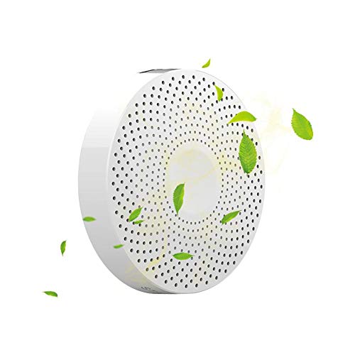 Purificador de Aire de ozono Generador de ozono - Mini Limpiador de...