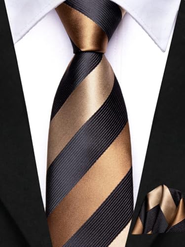 Dubulle Ties for Boys Self Tie Silk Paisely Striped Kids Necktie and Pocket Square Set for Age 8-114