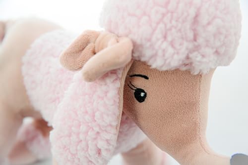 Zip - Sophie Cachorro Poddle