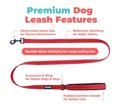 Image of Best Pet Supplies Voyager Reflective Dog Leash or Collar with Neoprene Handle, for Small, Medium, and Large Breed Puppies, Cute and Heavy Duty for Walking, Running and Training - Red (Leash), M