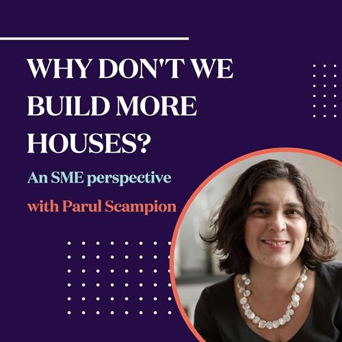 Why Don't We Build More Houses? cover art