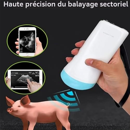 Échographe vétérinaire, portable sans fil pour diagnostic de grossesse chez les porcs et les moutons, sonde 3,5 MHz avec batterie 4500 mAh, compatible smartphone et tablette
