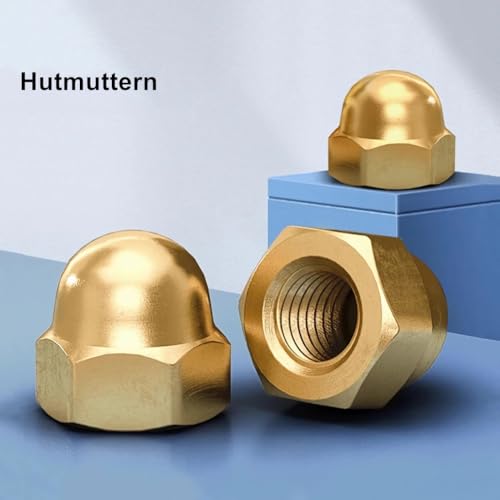 20 Stücke M3 Hutmutter, Eichel-Sechskantmutter, Messing-Innengewindebolzen, Abdeckung, Hutmuttern für Fahrzeugbefestigungen, Schutz Im Innen- und Außenbereich (M3)