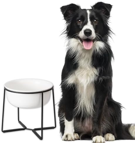 Comedero Perro Elevado Grande Cerámica - Cuenco Perro con Soporte de Metal Antideslizante - Comedero Alto para Perro - Plato Perro Comida y Agua - Bol para Perros Medianos y Grandes - 1600 ml - Blanca