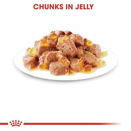 Royal Canin Instinctive Jelly | 12 x 85 g | Alleinfuttermittel für Katzen | Ausgewogene Rezeptur