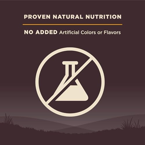 Wellness CORE Large Breed Puppy Dry Dog Food 24lb 6