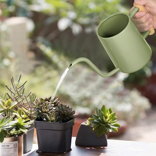 Image of Watering Can Indoor Plants, 35 oz /1000 ml Metal Stainless Steel Watering Can Pot with Long Spout for Indoor House Plants Bonsai Outdoor Garden Flower Decorative (Sage Green)