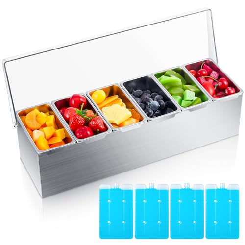 Boao Stainless Steel Condiment Dispenser with Lid and Bottom, Stainless Steel Condiment Tray, Ice Cooled Garnish Tray with 4 Ice Boxes for Food Party Outdoor BBQs (6 Slot)