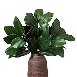 dallisten 3 Pcs Artificial Magnolia Leaves Branches, 20 Inch Real Touch Faux Magnolia Stems Greenery Twigs for Vase, Home, Office, Farmhouse, Wedding and Table Decorations (Green)
