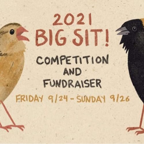 The BIG episode!!!!! with Aerin Tedesco