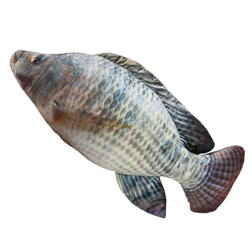 ʂ    YQ܂ tt  GObY G悢 􂦂 n N q l LO a j NX}X nEB v[g CeA 100cm