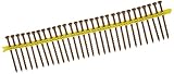 Simpson Strong Tie DSVT3S #10 3