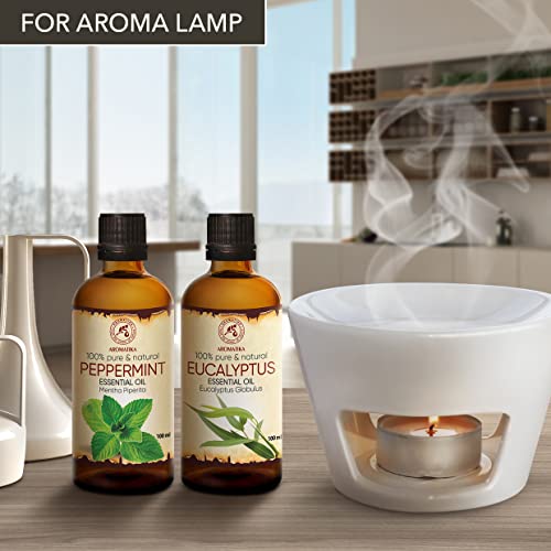 Huile essentielle menthe poivrée diffuseur kit eucalyptus bain maison