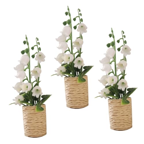 FIXOSHEE 12XP[ tFCNqVX~͖͌^ h[nEXp~j~͖͌^ CeApRpNgO[