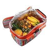 Bolsa térmica aislada - cesta de picnic plegable, cesta de picnic al aire libre para viajar, trabajar, senderismo, camping, picnic | Cesta de picnic en la playa, bolsas térmicas de uso