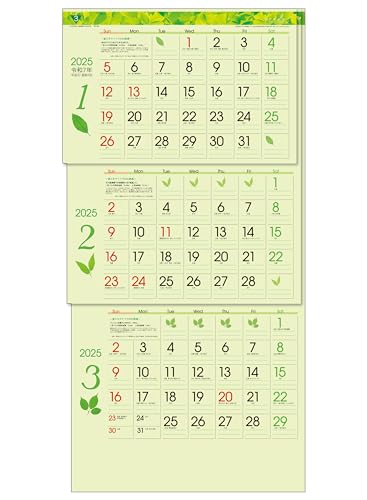 g[_ 2025N J_[ Ǌ| O[Recoiォ珇 / ~V / t}[J[tj 75 x 35cm TD-30787