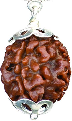 Rudraksha de Nepal auténtica con colgante de plata tallado a mano