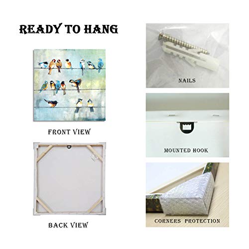 Tar Tar Studio Bird Picture Canvas Wall Art: Colorful Birds Painting Print On Canvas Artwork For Kids Bedroom ( 24''W X 24''H, Multiple Sizes ) #TOP6