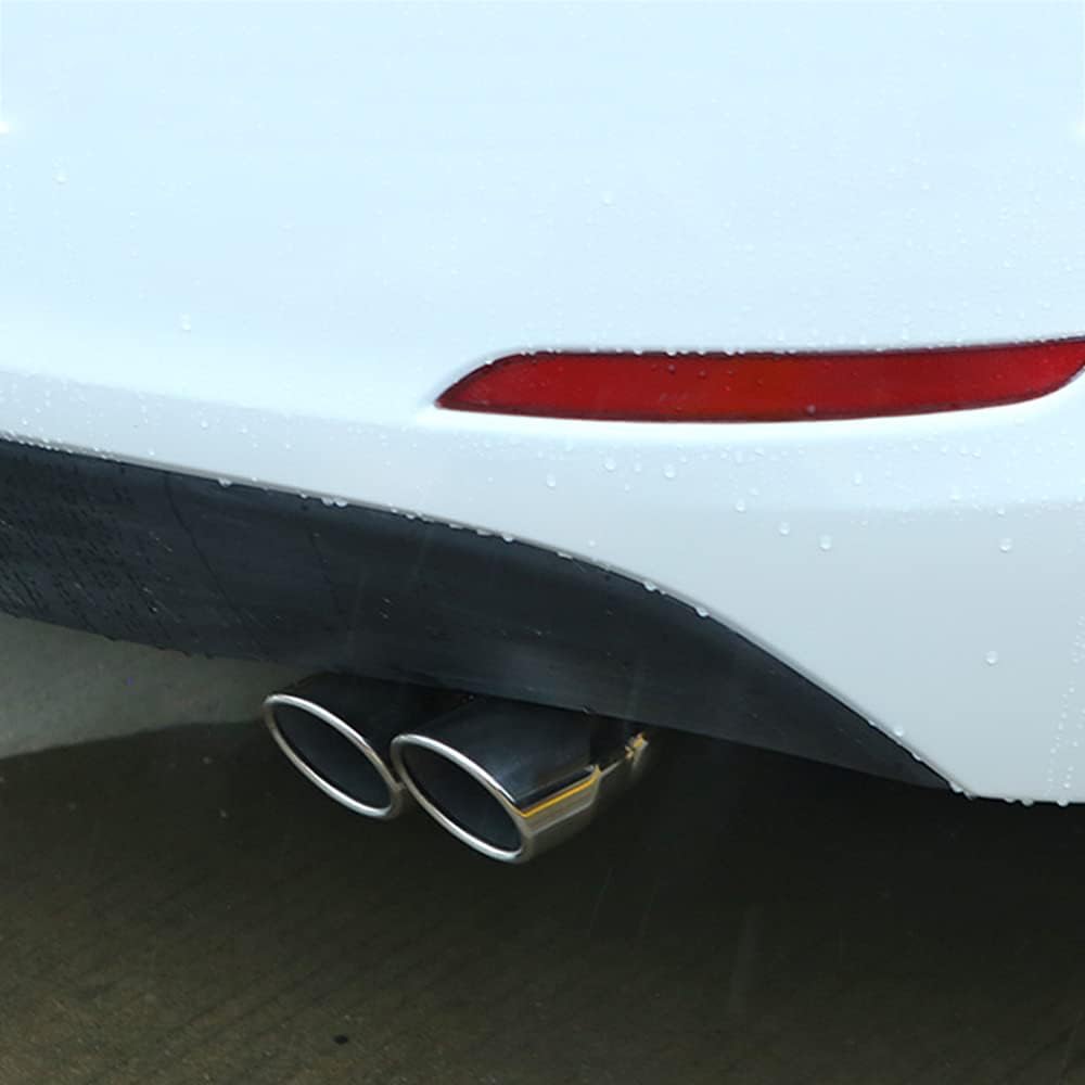 2.5 inch Inlet Dual Exhaust Tip Stainless Steel Polished Muffler Tail Universal Bolt-On Double Outlet Tail Pipe (Silver,Straight)