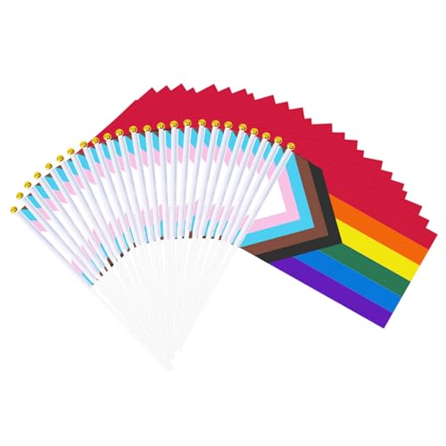 100 Pack Pride Flags on Stick Small Handheld Rainbow Mini Flags LGBTQ Gay Transgender Parade Party Favors Pride Month Rally Event Table Decorations (5.5x8.2 Inch)