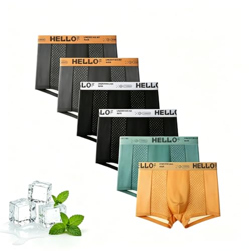 YE XInin Mens Mesh Ice Silk Underwear Boxer Briefs 6-Pack Ultra Cool Breathable Quick-Dry Moisture Wicking No-Ride-Up Underwear Multicolored