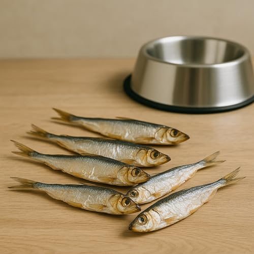 Gaczoo - Sprotten für Hunde Getrocknet - Getrockneter Fisch für Hund - 100% Trockenfisch, Hundeleckerli, Trainingsleckerli - ohne Zusätze, reich an Omega 3, Fettarm - 500g