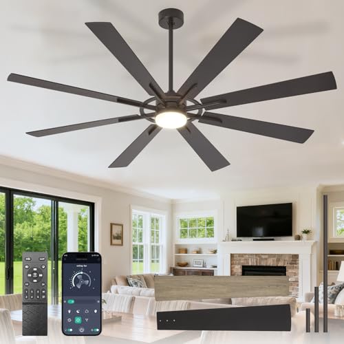 DLLT 72-Inch Ceiling Fan with Light: Farmhouse 8-Blade Black Wood