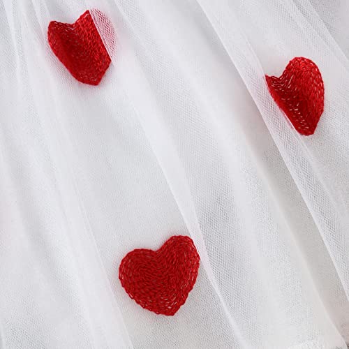 Infant Toddler Baby Girl Valentine 'S Day Outfits Denim Ruffle Long Sleeve Dress Love Heart Princess Tulle Tutu Dresses (Blue White, 6-9 Months) #TOP5