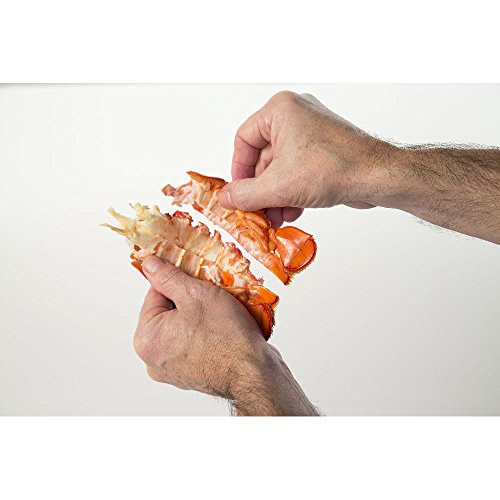 Tesoura Para Frutos do Mar Desmontável Fackelmann Vermelho