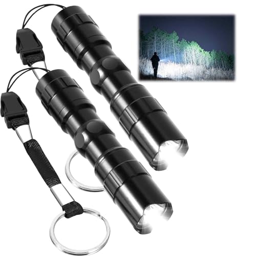 BRILLIRARE 2 Pack LED Flashlights, Tactical Flashlight Mini with High Lumen, Camping Handheld Pen Light, Powerful Super Bright Versatile Flash Light for Outdoor, Home, Cycling, Hiking, Emergency