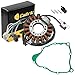 Caltric STATOR & GASKET FITS YAMAHA TIMBERWOLF 250 YFB250 YFB-250 2WD 1994-1996 1997 1999