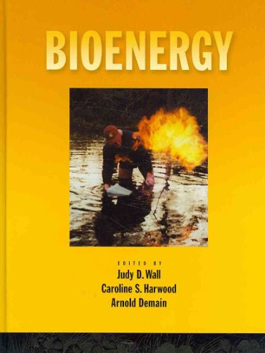 Bioenergy view 2