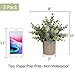 C APPOK Artificial Potted Plants Fake Eucalyptus Plant, Mini Plastic Green Grass with Pot, Faux Rosemary Plants for Home Decor, Indoor,Farmhouse decor,Table Decoration - 3 Pack, Flocking Green