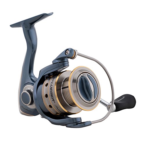Pflueger 6925 President Spinning Fishing Reel #TOP1