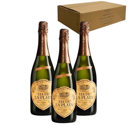 Vía de la Plata Chardonnay Brut - Para Disfrutar en Celebraciones y con los Tuyos - Pack 3 Botellas 75cl