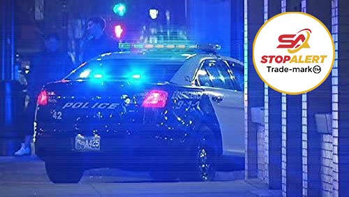 Fastwagger 240W - Headlight Safety Alternating Flasher Module Electronic Wig Wag Strobe Controller Relay - Led Incandescent Xenon Halogen Hid Car Police Emergency Trucks 10A 12-24V 250Fpm Stop-Alert #TOP5