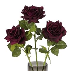 Burgundy Roses