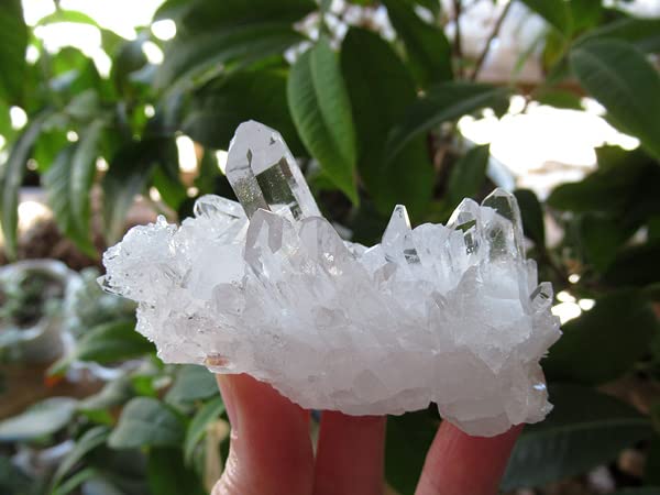 希少・高波動】ゼッカデソーザ産ミニクラスター 天然水晶原石 オーラの