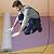 Temporary Floor Protection Construction Violet - Scratch Resistant, Waterproof, Anti-Slip Surface, Remodel, Painting, Wall, Floor, Carpet, Furniture, Stair, Cover Grip, All Purpose Covering, Reusable