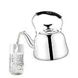 2 Liter DLD Polished Mirror-Finish Stainless Steel Whistling Capsule Base Stovetop Teakettle Tea Kettle Teapot, Gas Electric Induction Compatible