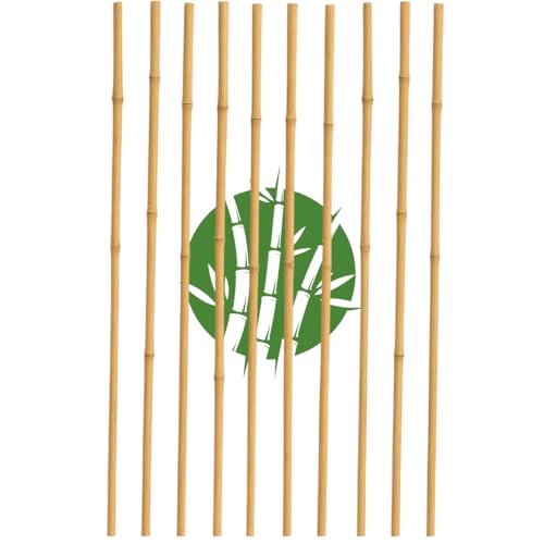 Canne Bambù Naturale per Piante – Tutori Giardino Orto, Sostegni Rampicanti, Paletti Pomodori Melanzane – Bastoni Bamboo Trapianto Piantine, Cannette da Esterno e Interno (Bambù (120 cm), 10)
