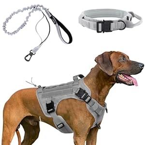 Tactical Dog Harness with Handle – Heavy-Duty Military Dog Vest Harness, Collar, and Leash Set – No Pull Working Dog Molle Vest with Patches – Adjustable Dog Gear for M to XL Dogs (Gray, M)