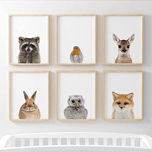Pompom Prints® Woodland Baby Animal Nursery Bedroom Wall Art Picture Prints, Set of 6 - Racoon, Robin, Deer, Bunny, Owl, Fox [Picture Frames NOT Included] (5 x 7 Inch)