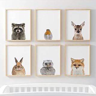 Pompom Prints® Woodland Baby Animal Nursery Bedroom Wall Art Picture Prints, Set of 6 - Racoon, Robin, Deer, Bunny, Owl, Fox [Picture Frames NOT Included] (5 x 7 Inch)