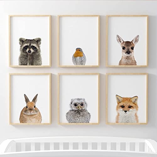Décoration murale woodland sans effort : 6 impressions animaux pour habiller les murs vides