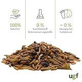 UGF - Insektenmischung mit Gammarus - 80g im 500 Milliliter Eimer, Igelfutter, Rennmausfutter, Hamsterfutter, Rattenfutter, Eidechsenfutter - Mehlwürmer, Soldatenfliegenlarven, Seidenraupen, Gammarus