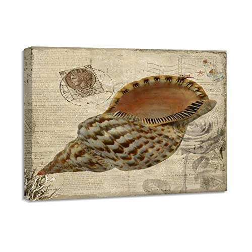 Tableau conque vintage encadré d'art marin moderne haut de gamme